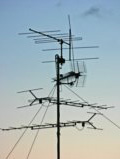 Antennenwald