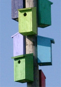 Bunte Nitsk&auml;sten, Foto: &copy; Dieter Kalina, Pixelio