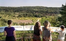 Blick in die Grube Messel