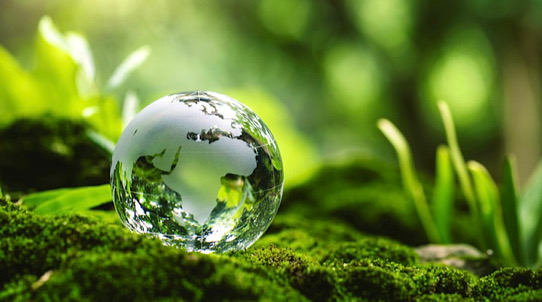 ERDKUGEL aus Glas auf Moos