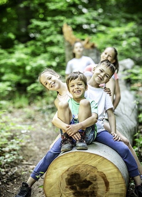 Kinder sitzen in einer Reihe auf einem Baumstamm im Wald