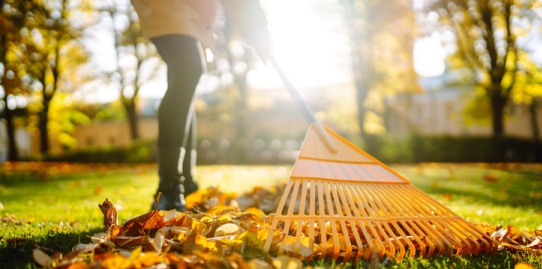 Frau recht Herbstlaub