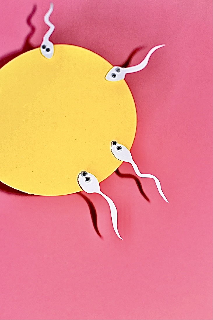Pappbild mit Spermien mit Augen, die an der Eizelle andocken 